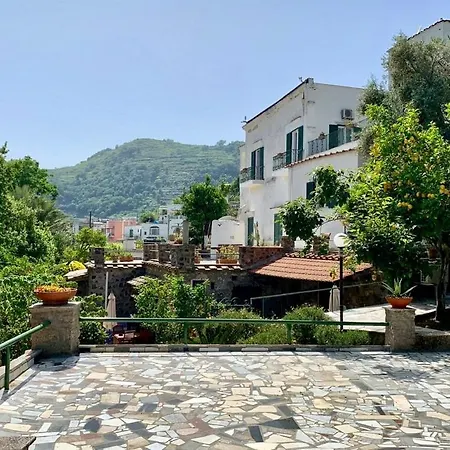 Villa Vincenzo Di Meglio Barano d'Ischia Exterior photo