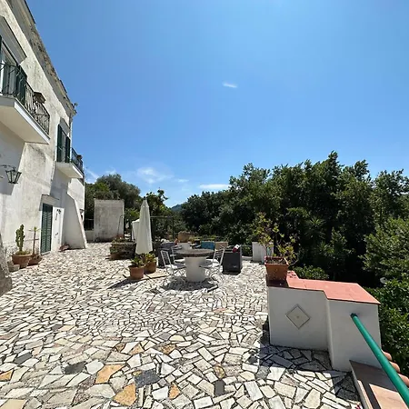 Villa Vincenzo Di Meglio Barano d'Ischia Exterior photo