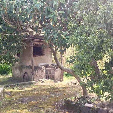 Villa Vincenzo Di Meglio Barano d'Ischia Exterior photo