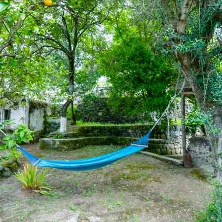 Villa Vincenzo Di Meglio Barano d'Ischia Exterior photo