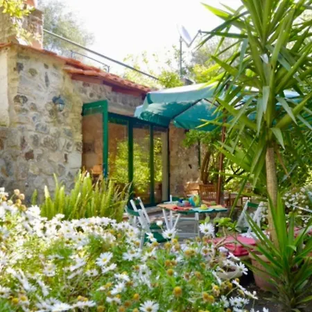 Villa Vincenzo Di Meglio Barano d'Ischia Exterior photo