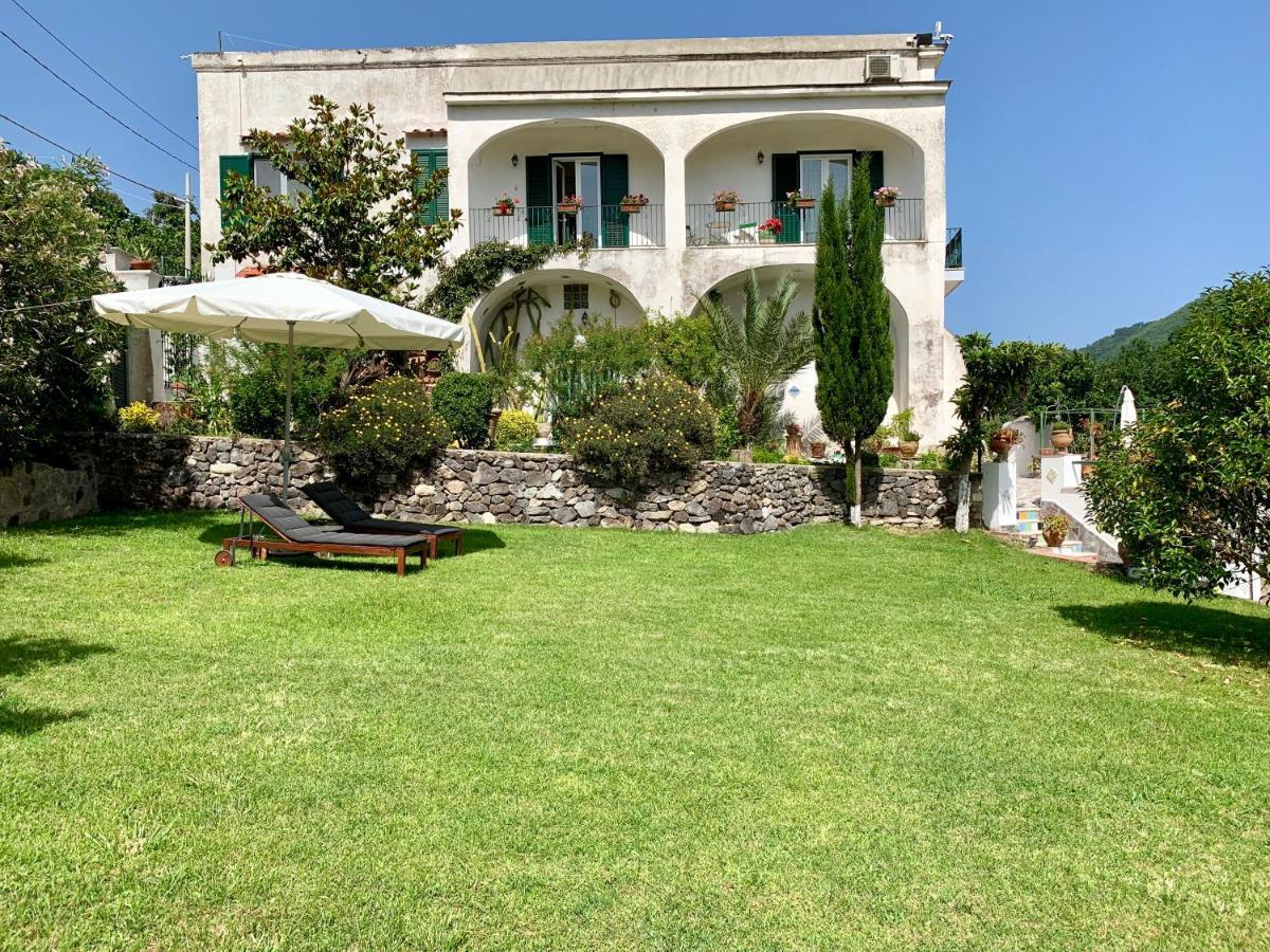 Vincenzo Di Meglio Barano dʼIschia
