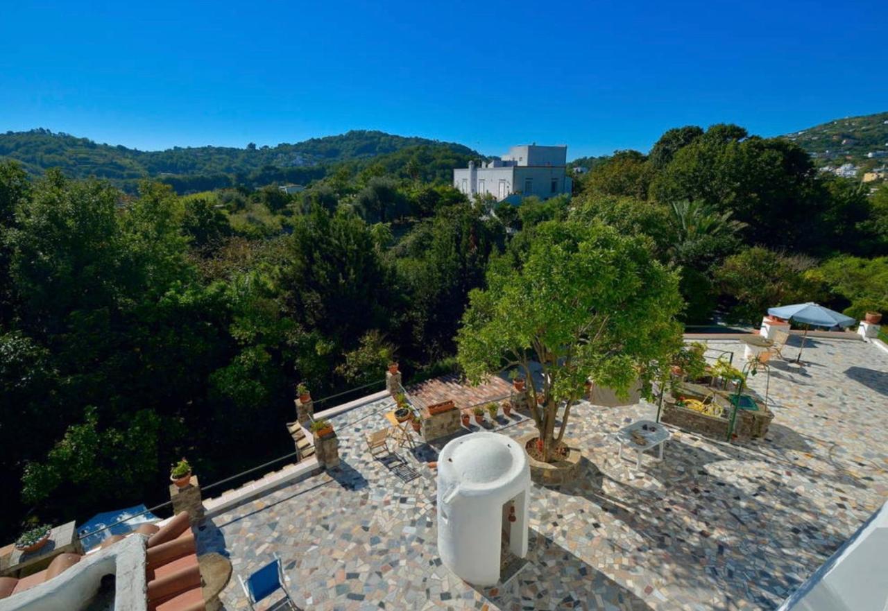 Vincenzo Di Meglio Holiday home Barano d'Ischia