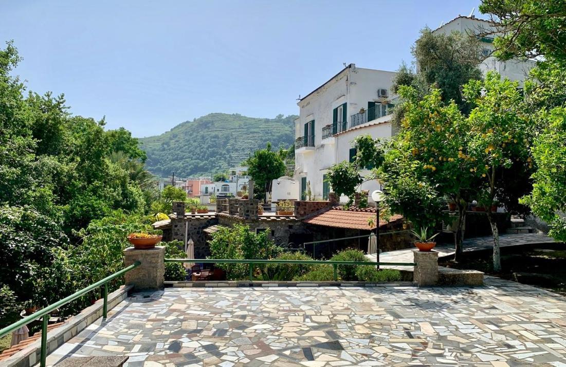 Vincenzo Di Meglio * Barano d'Ischia