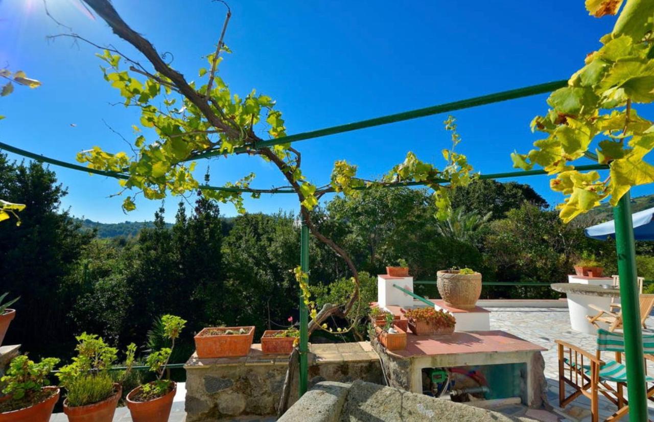 Holiday home Vincenzo Di Meglio Barano d'Ischia