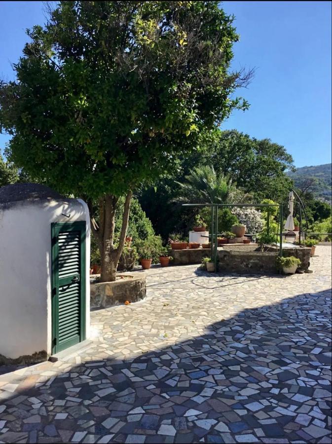 Vincenzo Di Meglio Hébergement de vacances Barano dʼIschia