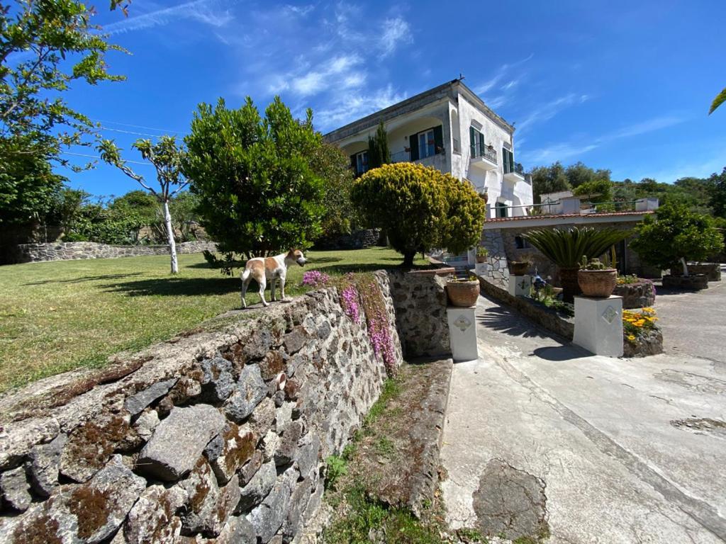 Vincenzo Di Meglio Holiday home *
