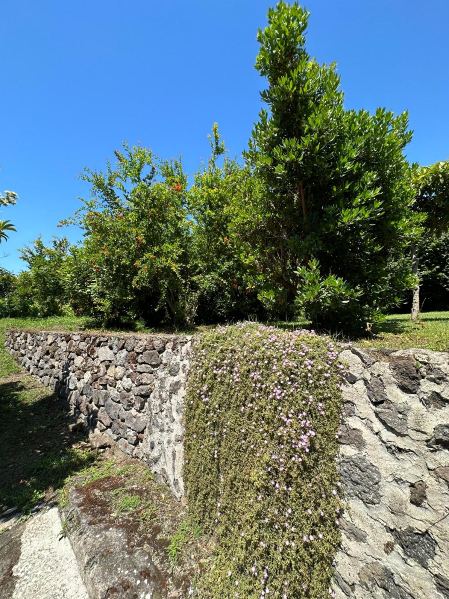 Holiday home Vincenzo Di Meglio *