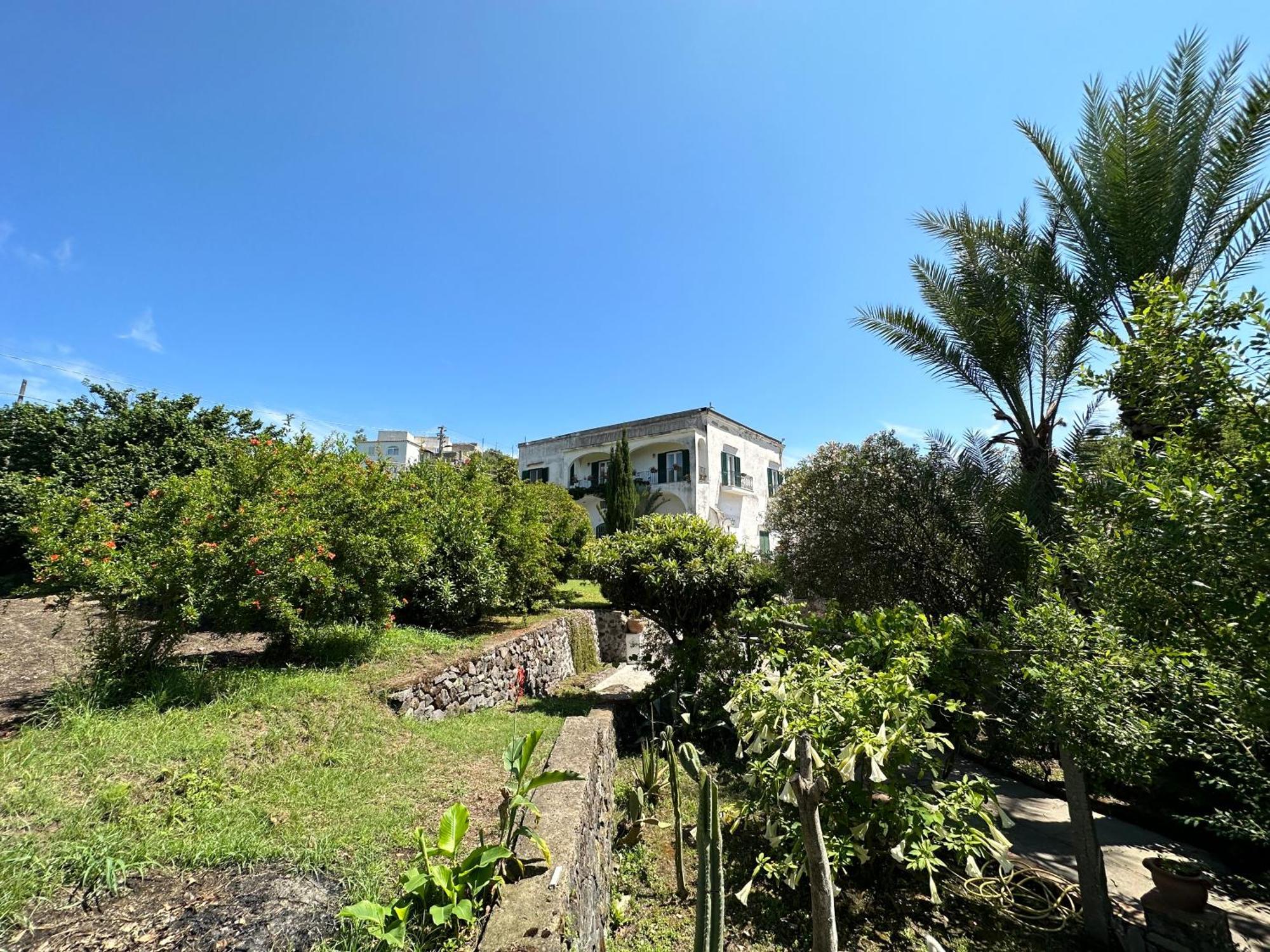 Vincenzo Di Meglio Barano d'Ischia