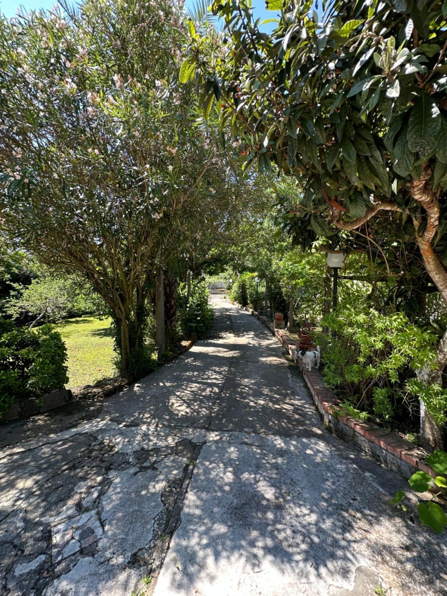 Hébergement de vacances Vincenzo Di Meglio Barano dʼIschia